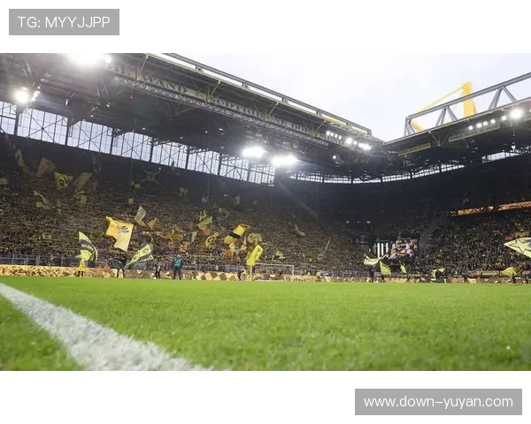 欧冠俱乐部开放日举办，残疾球迷专属观赛区首设